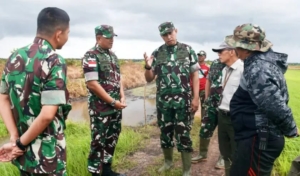 Erick Tohir Tunjuk Mayjen TNI Ahmad Rizal Ramdhani Sebagai Dirut Perum  BULOG