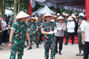 Panglima TNI Panen Raya Padi Seluas 80 Hektar, Dukung Program Ketahanan Pangan Nasional