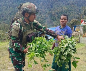 Satgas TNI Safari Honai di Kampung Wuloni: Borong Hasil Tani, Genggam Hati Rakyat