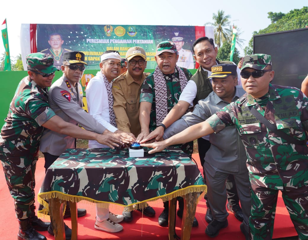 Hadirkan Air, TNI AD Hidupkan 424 Hektar Sawah Warga Sukabumi