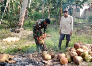 Komsos Bersama Petani Kelapa Babinsa Serumpun Beri Semangat Dan Motivasi