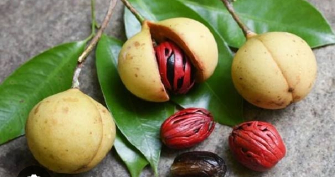 10 Khasiat Biji Pala untuk Kesehatan