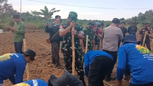 Dukung Ketahanan Pangan Dandim 1208/Sambas Hadiri Tanam Jagung Se-Kecamatan Subah Dan Tinjau Hasil Karya Bakti Rabat Beton
