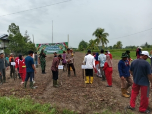 Wujud Ketahanan Pangan Danramil 07/Tlk Bersama Forkopimcam Tangaran Laksanakan Penanaman Jagung