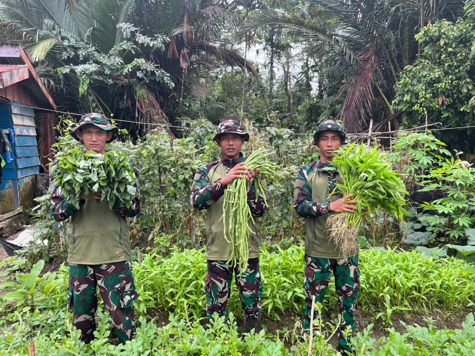 Ketahanan Pangan, Satgas Yonif 521/DY Wujudkan Melalui Buka Kebun di Sekitaran Pos Muara Nawa Distrik Airu