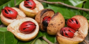 8 Manfaat Buah Pala untuk Kesehatan, Lihat Lengkapnya