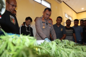 Satresnarkoba Polres Bulukumba Berhasil Ungkap Peredaran Narkotika Jenis Ganja