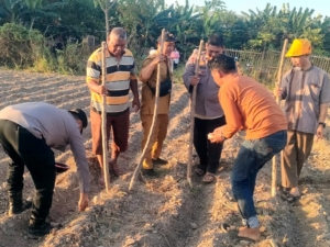 Sinergitas Polsek Galut, Pemdes dan  Masyarakat Tamasaju Galakkan Program Ketahanan Pangan Nasional