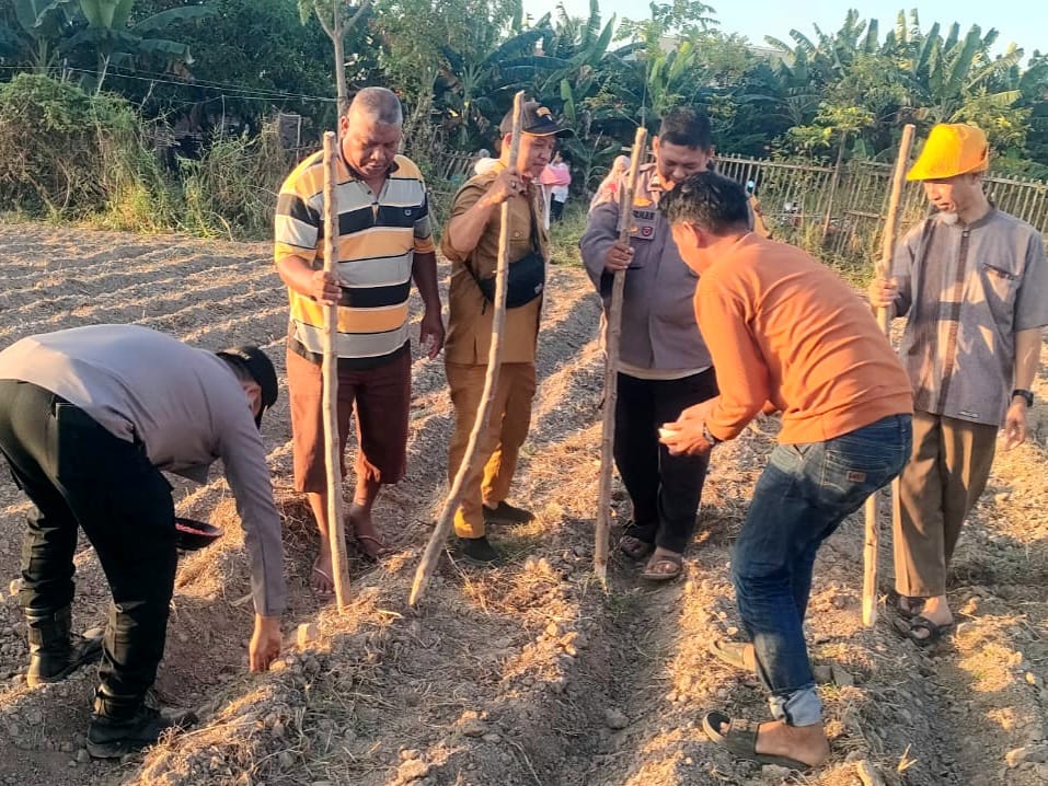 Sinergitas Polsek Galut, Pemdes dan  Masyarakat Tamasaju Galakkan Program Ketahanan Pangan Nasional