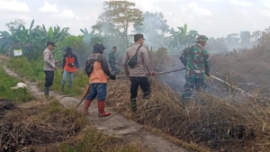 Sigap Anggota Koramil, Polsek Dan Manggala Agni Serta MPA Kecamatan Jawai Padamkan Api Di Perkebunan Warga