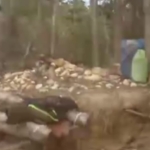 PETI Marak di Sebubus, Diduga Serobot Kawasan Konservasi TWA Sungai Tengah