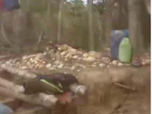PETI Marak di Sebubus, Diduga Serobot Kawasan Konservasi TWA Sungai Tengah