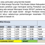 Perumda Sambas Sempat Tertinggal di Kalbar: Lima Rekomendasi Strategis untuk Bangkit