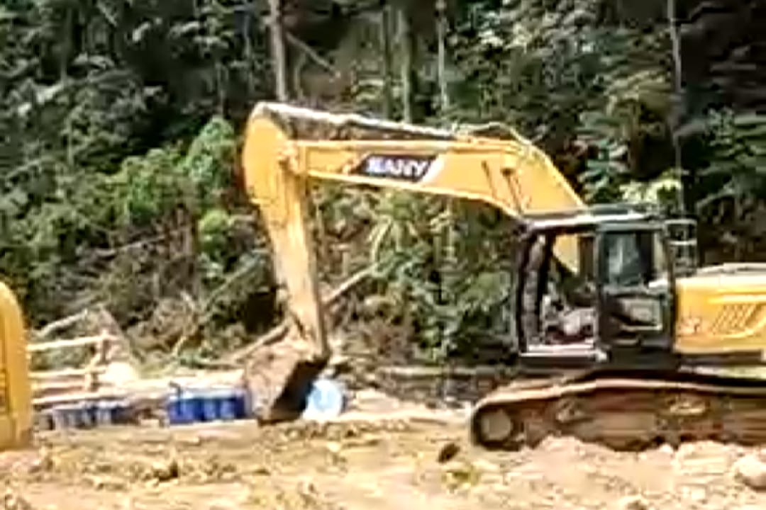Dinilai Mafia ” PETI ” di Hutan Bugu Abaikan Instruksi Presiden RI
