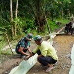 Satgas TMMD ke-126 Kodim 1208/Sambas Pasang Mal dan Plastik Rabat Beton