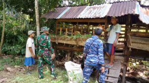Satgas TMMD ke-126 Kodim 1208/Sambas Bantu Warga Beri Makan Ternak