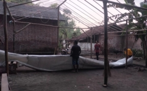 Viral di Media Online Sabung Ayam di Sukereno Umbulsari Ternyata HOAX