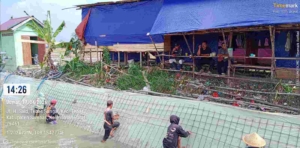 Proyek Irigasi Rawa Tebas Rp22,7 Miliar Disorot INPEST, Material Kayu, Mutu Pekerjaan dan K3 Dipertanyakan