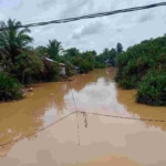 Air Sungai Berubah Warna, Masyarakat Lubuk Lagak Minta Pemerintah Segera Bertindak