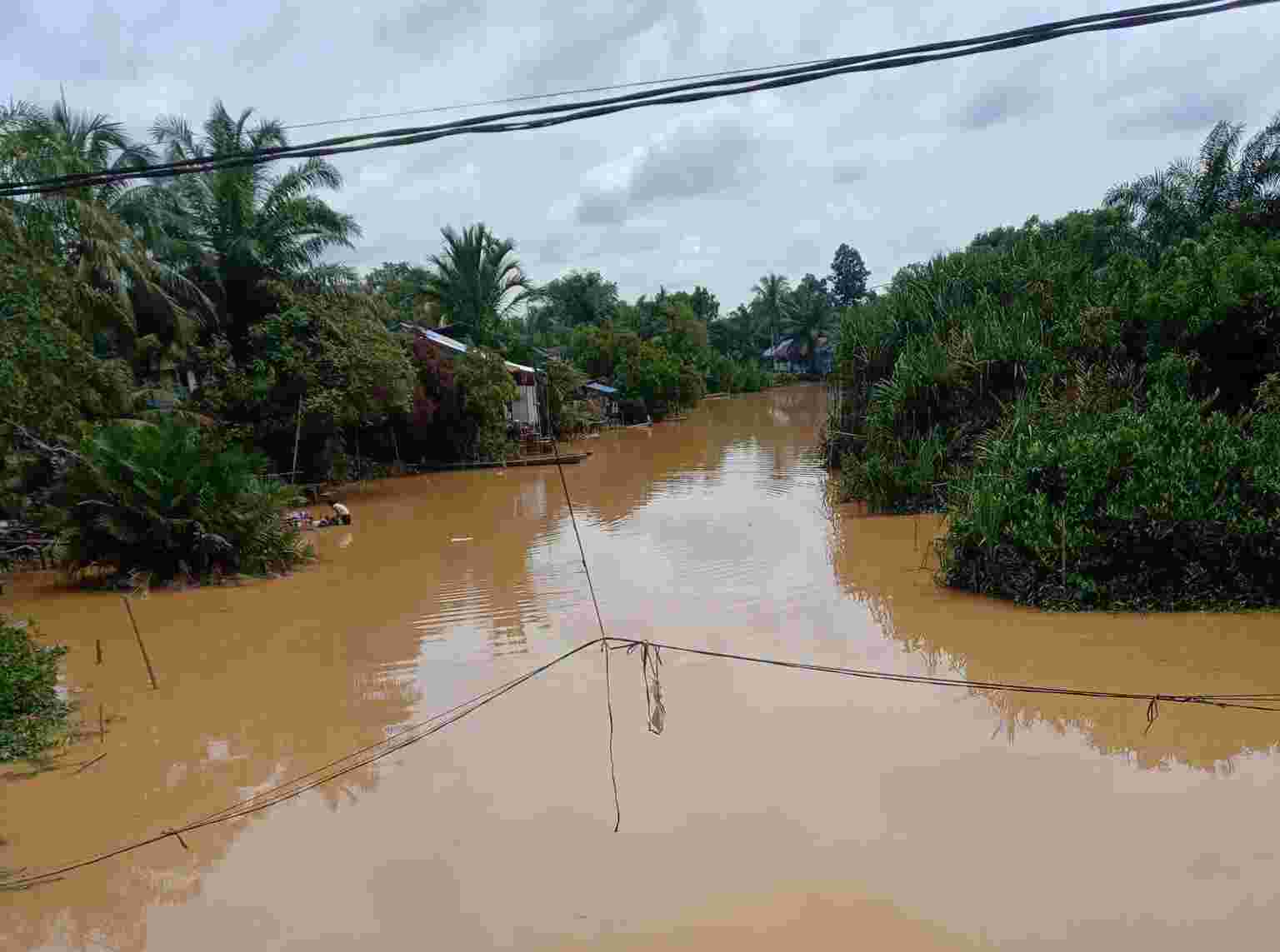Air Sungai Berubah Warna, Masyarakat Lubuk Lagak Minta Pemerintah Segera Bertindak