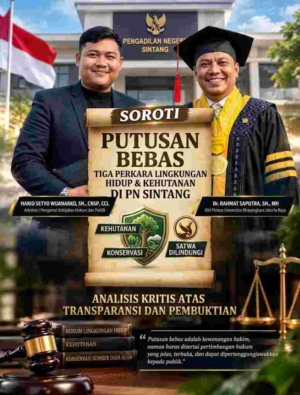 Putusan Bebas Kasus Kehutanan PN Sintang Disorot, Pengamat dan Ahli Hukum Desak Transparansi