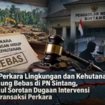 Tiga Perkara Lingkungan dan Kehutanan Berujung Bebas di PN Sintang, Muncul Sorotan Dugaan Intervensi dan Transaksi Perkara